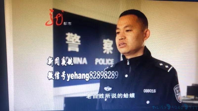 竟然敢在公安局门口卖这个！一共174只！猎捕20只以上就构成非法捕猎罪！