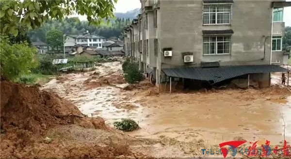 紧急提醒！全国多地遭遇暴雨，请查收安全知识