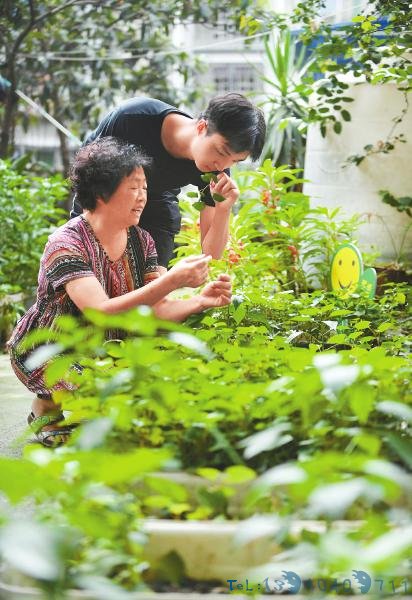 成都探索果蔬垃圾减量“瘦身”循环利用：从“废”到“肥”