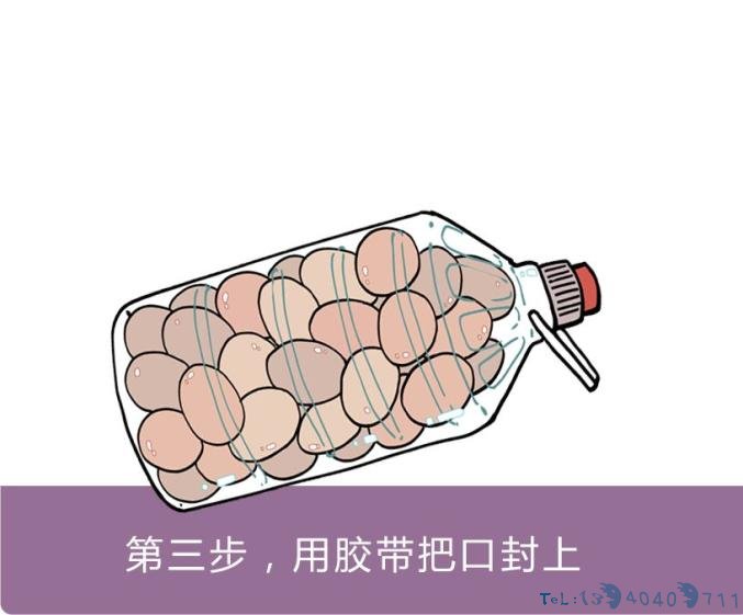 鸡蛋究竟是如何被塞进塑料桶里的？知道真相的我哭笑不得